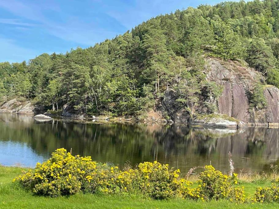 Bosvik Gard, Nyrenovert Leilighet I Hovedhus Fra 1756 Risor Exterior photo