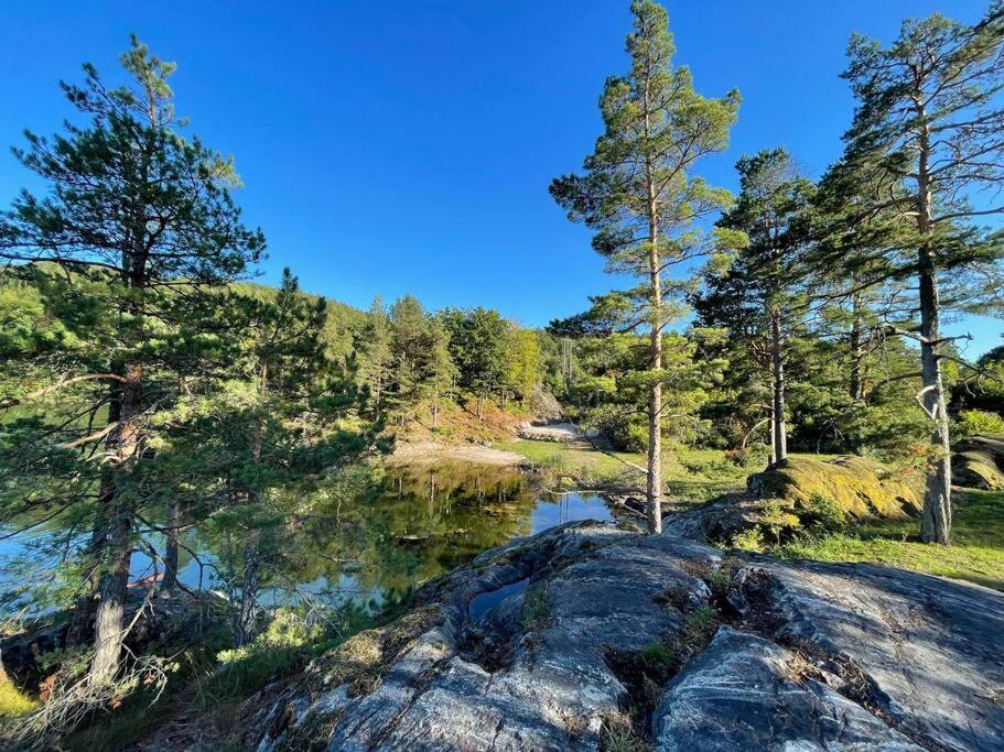 Bosvik Gard, Nyrenovert Leilighet I Hovedhus Fra 1756 Risor Exterior photo